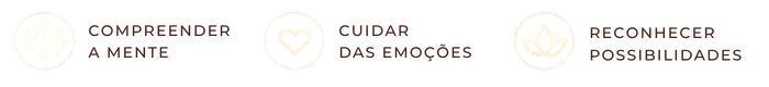 Elementos visuais da identidade Camila Luz